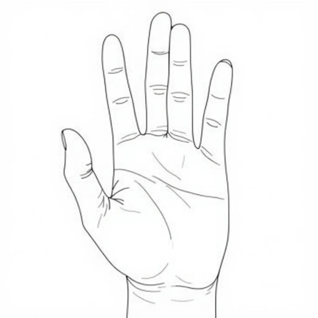 finger صفحات التلوين