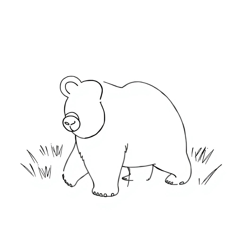 bear صفحات التلوين
