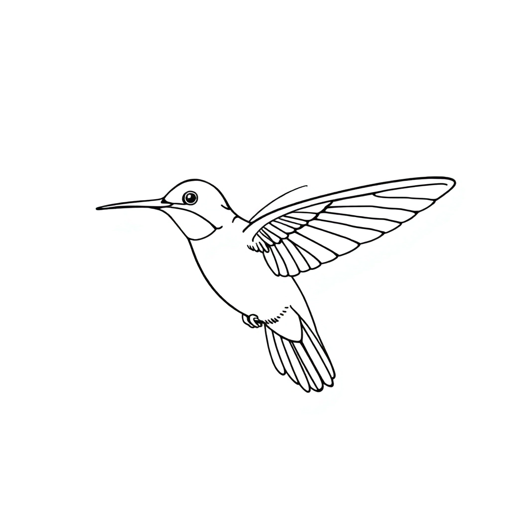 Hummingbird  صفحات التلوين