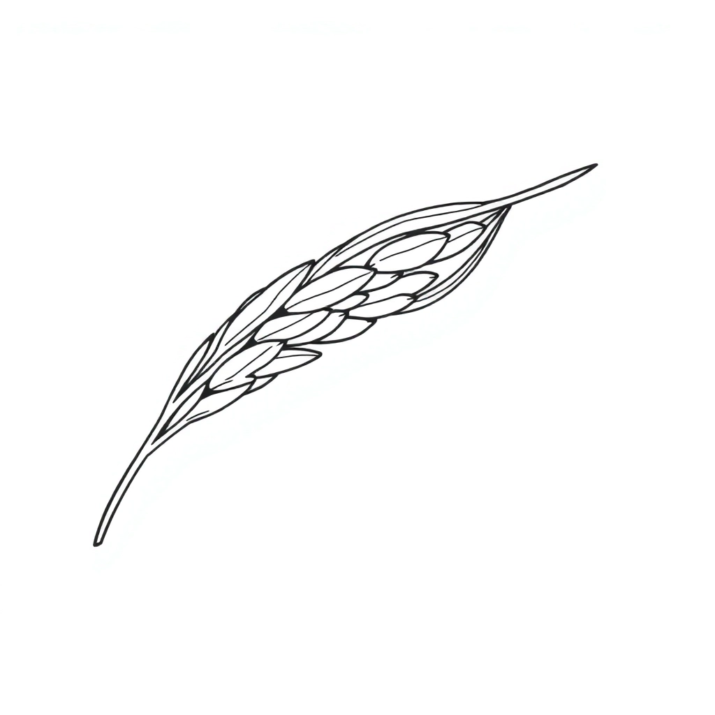 سنبلة أرز